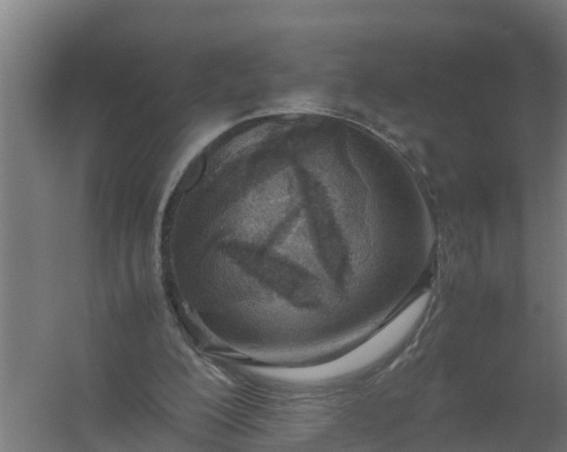 X0000059810200200511041702