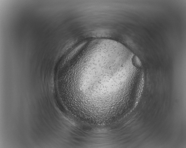 X0000059810202200511041702