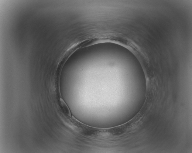 X0000059810203200511041702