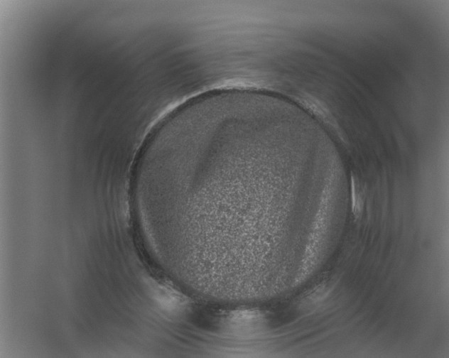 X0000059810204200511041702