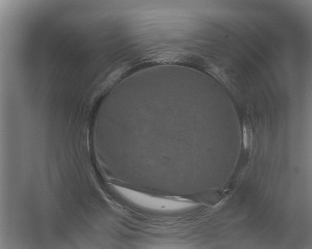 X0000059810205200511041702