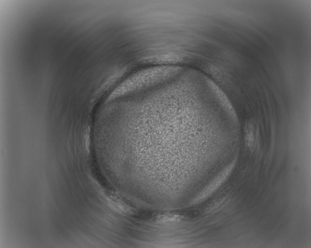 X0000059810206200511041702