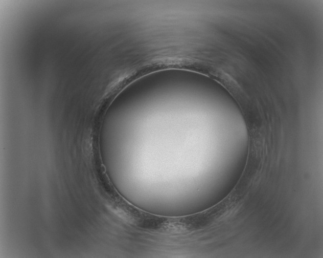 X0000059810207200511041702