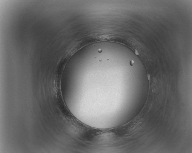 X0000059810210200511041702