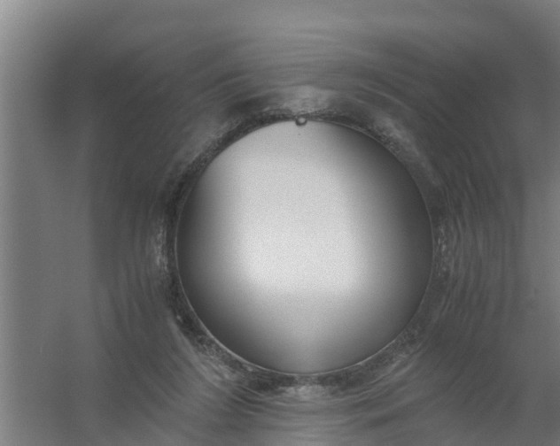 X0000059810212200511041702