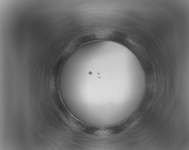 X0000059810213200511041702