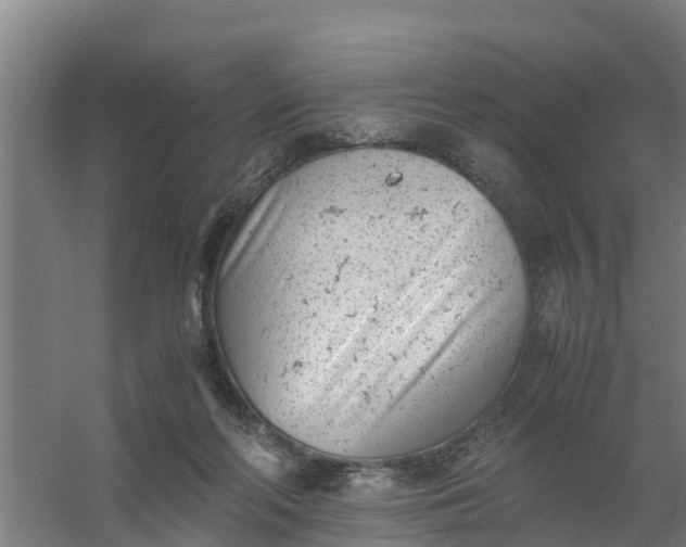 X0000059810214200511041702