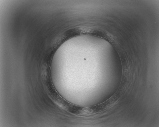 X0000059810215200511041702