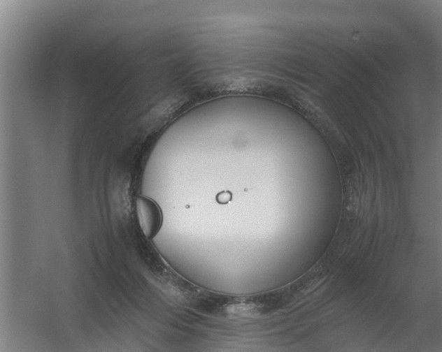 X0000059810216200511041702