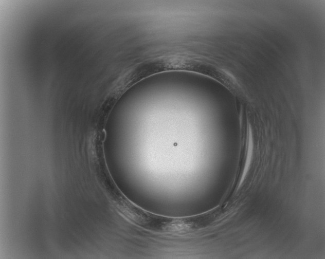 X0000059810217200511041702