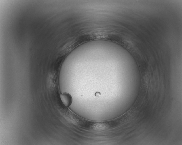 X0000059810218200511041702