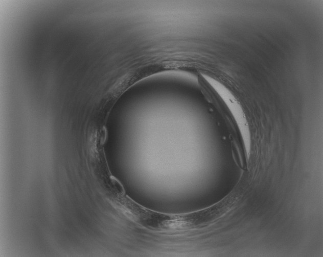 X0000059810219200511041702