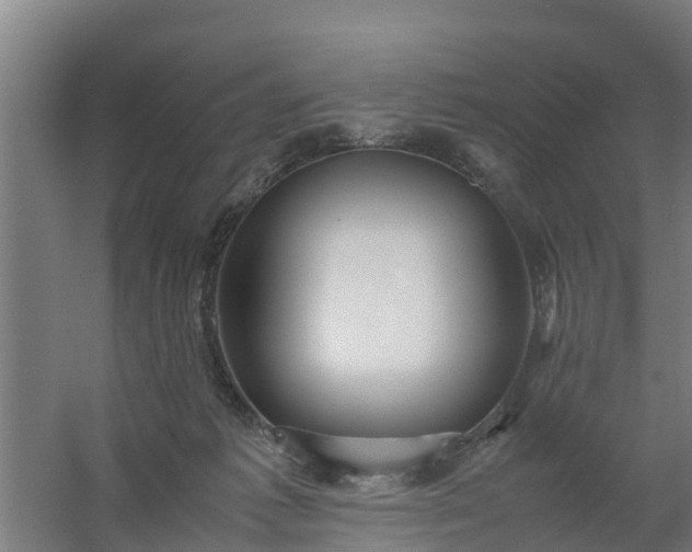 X0000059810221200511041702