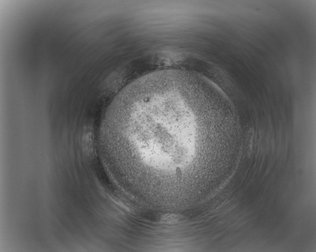 X0000059810222200511041702