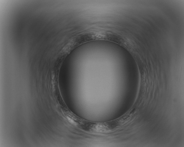 X0000059810223200511041702