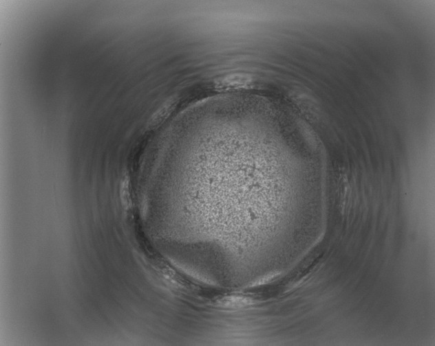 X0000059810224200511041702