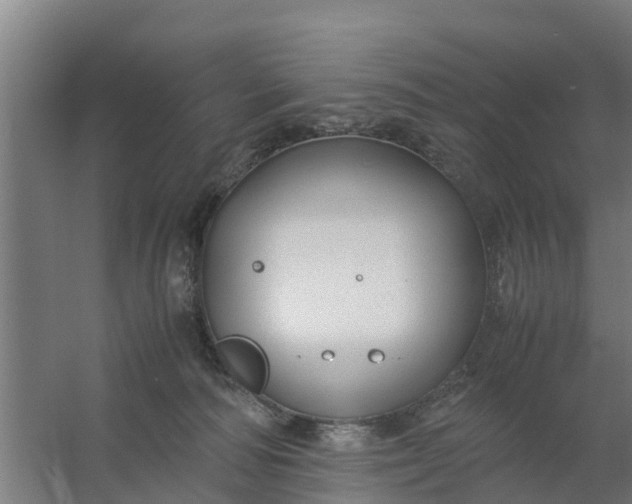 X0000059810226200511041702