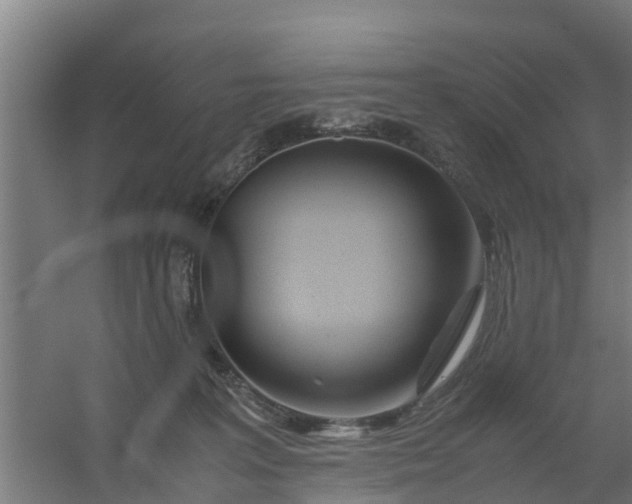 X0000059810227200511041702