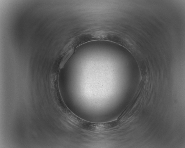 X0000059810229200511041702