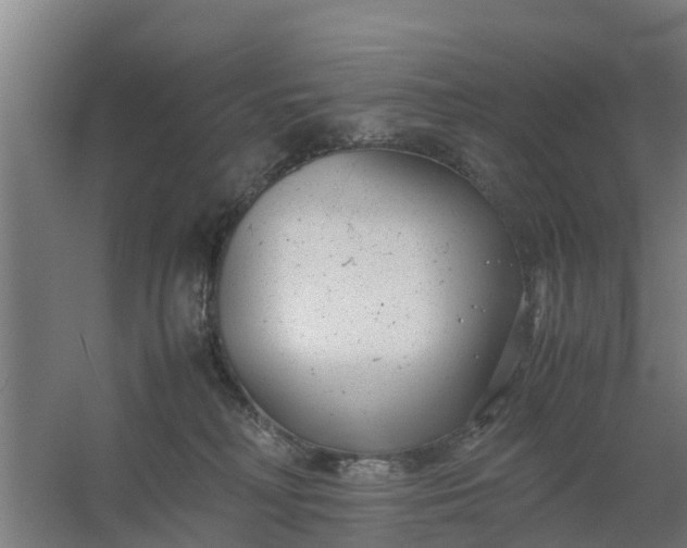 X0000059810230200511041702