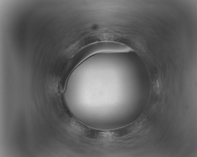 X0000059810233200511041702