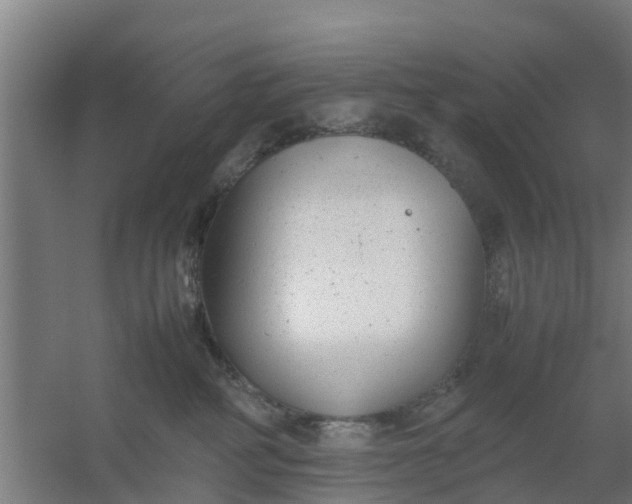 X0000059810234200511041702