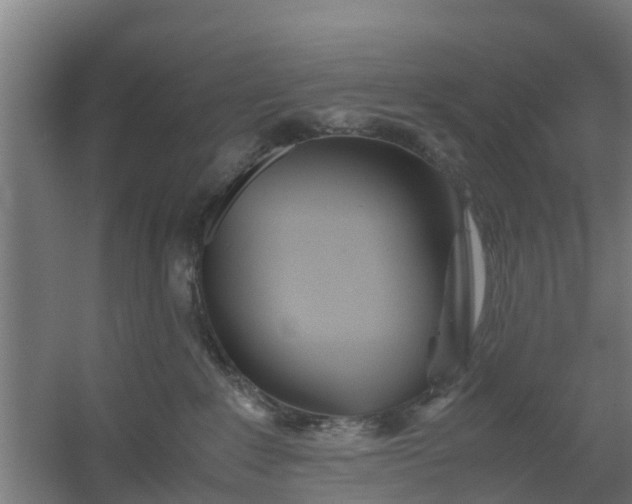 X0000059810235200511041702