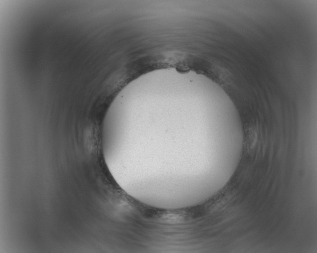 X0000059810236200511041701