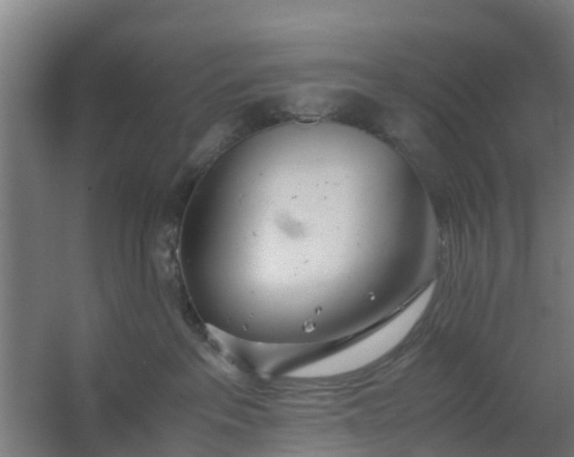 X0000059810237200511041701