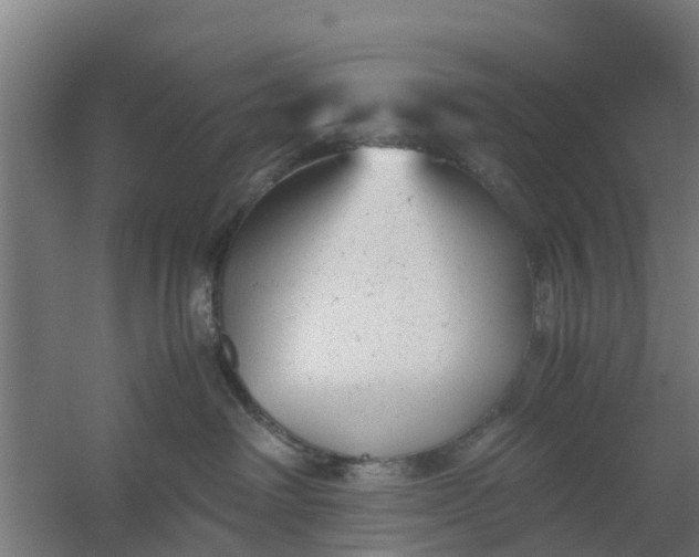 X0000059810238200511041701