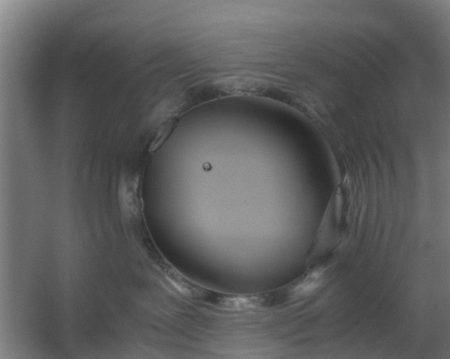 X0000059810239200511041701