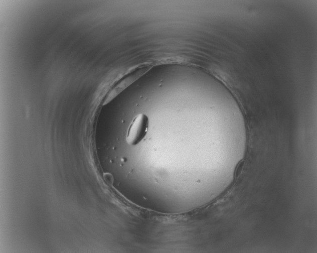 X0000059810241200511041701