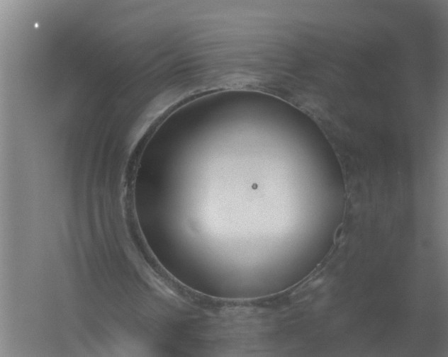 X0000059810242200511041701