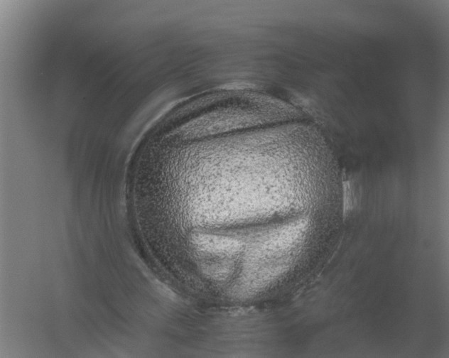 X0000059810243200511041701