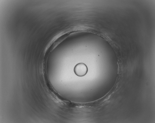 X0000059810244200511041701