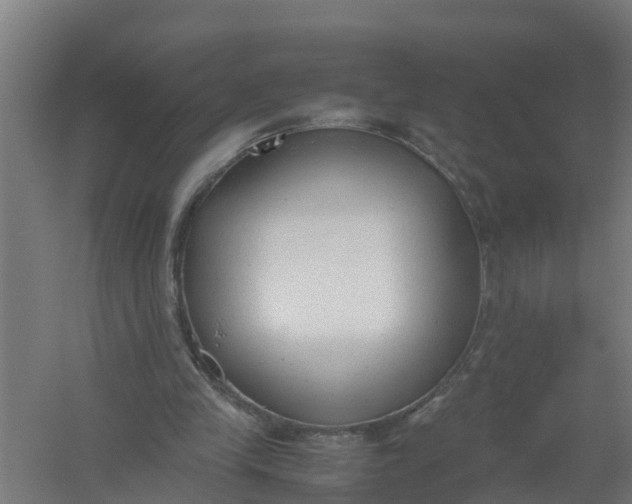 X0000059810245200511041701