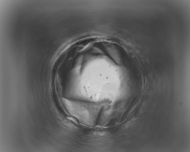 X0000059810247200511041701