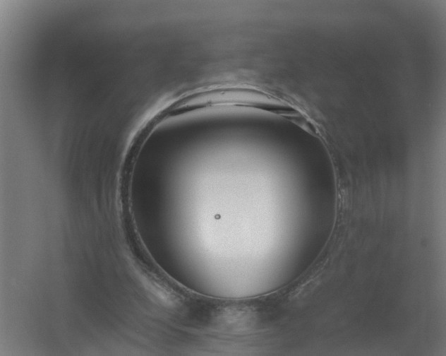 X0000059810248200511041701