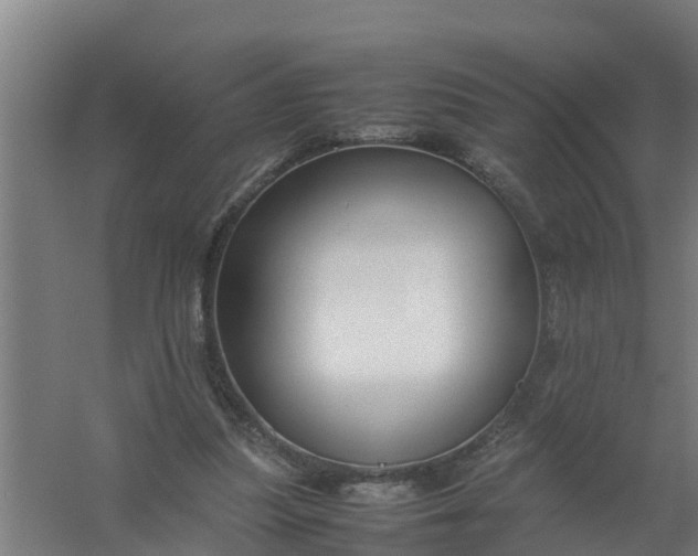 X0000059810251200511041701