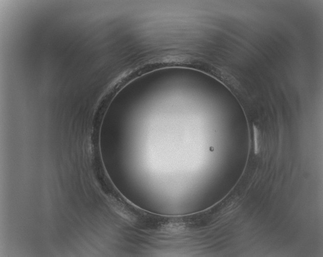 X0000059810252200511041701