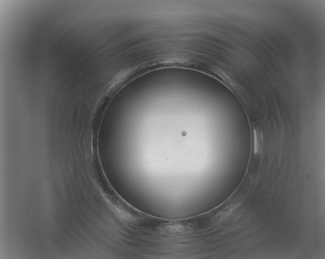 X0000059810253200511041701