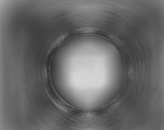 X0000059810254200511041701