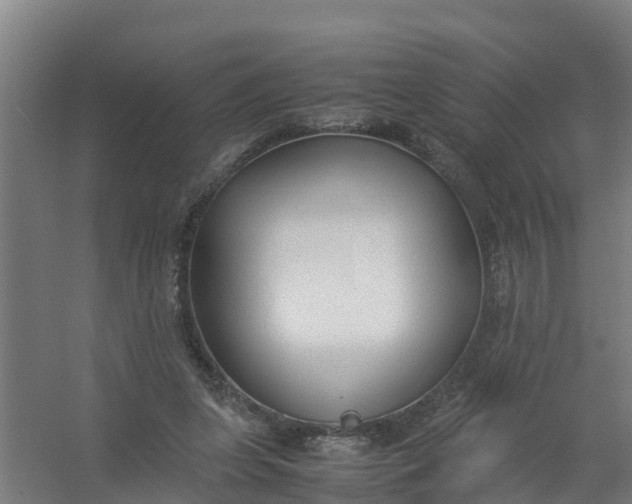 X0000059810255200511041701