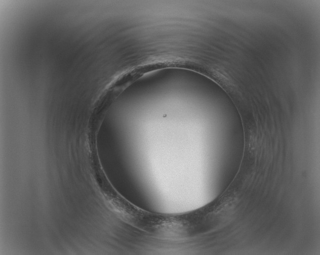 X0000059810256200511041701