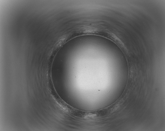 X0000059810257200511041701