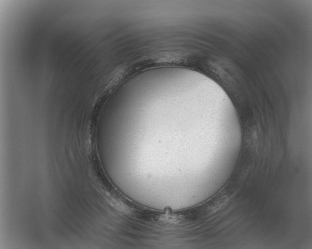 X0000059810261200511041701