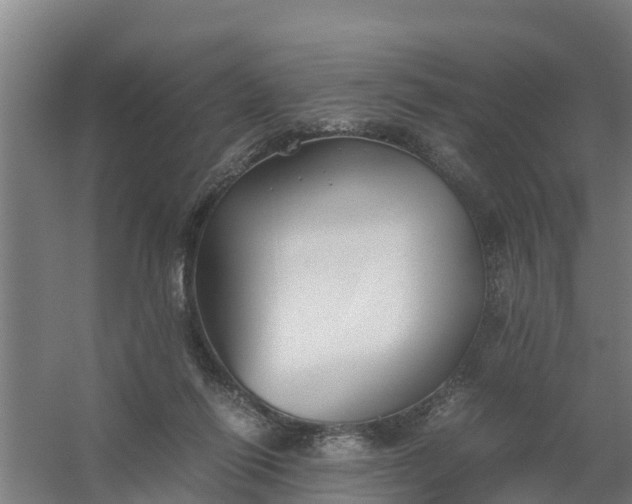 X0000059810262200511041701