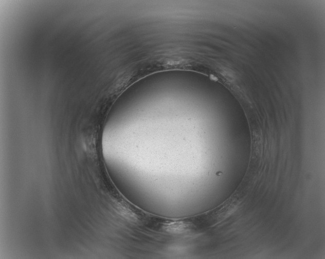 X0000059810269200511041701