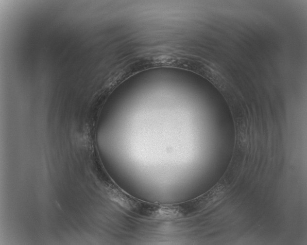 X0000059810270200511041701