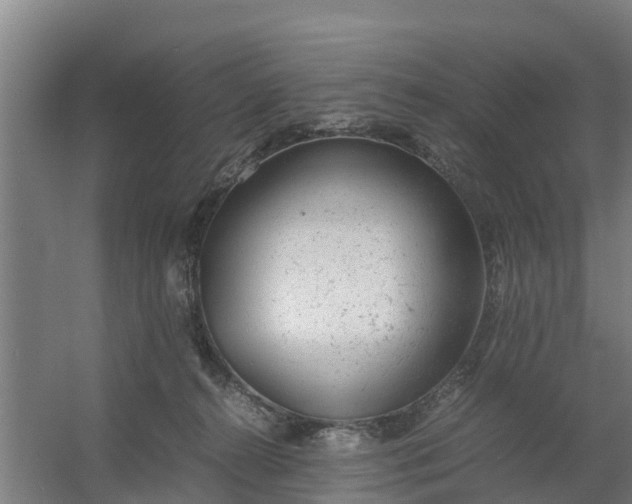 X0000059810272200511041701